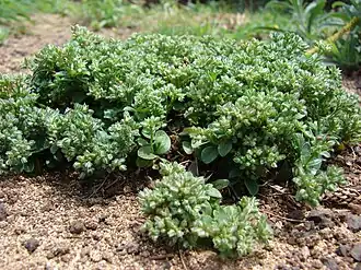 alternativní popis obrázku chybí