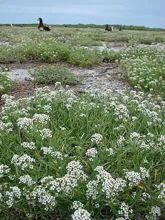 alternativní popis obrázku chybí