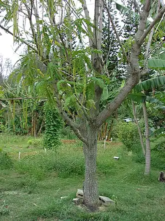 alternativní popis obrázku chybí