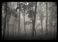 Starý hrádek, 1996