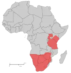 Rozšíření antilopy trávní (červeně).