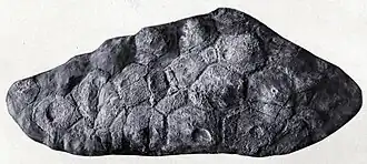 alternativní popis obrázku chybí