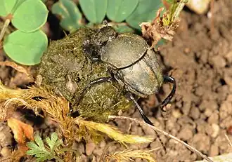 alternativní popis obrázku chybí