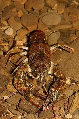 alternativní popis obrázku chybí