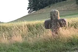 Smírčí kříž u obce Zdislava