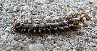 alternativní popis obrázku chybí