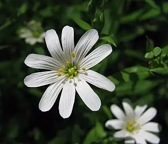 alternativní popis obrázku chybí