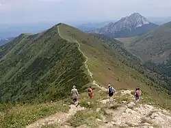 Steny, v pozadí Velký Rozsutec