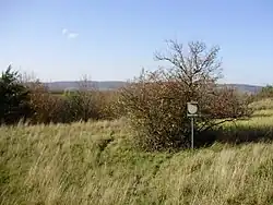 Stepní stráň u Komořan