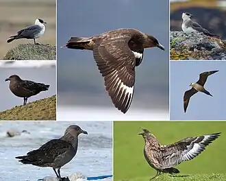 alternativní popis obrázku chybí