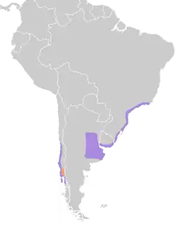 Areál rozšíření