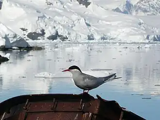 alternativní popis obrázku chybí