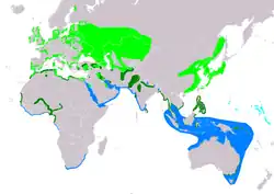 Rozšíření rybáka malého