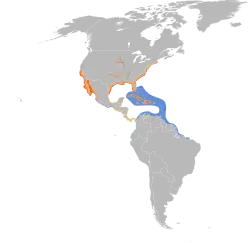 Areál rozšíření