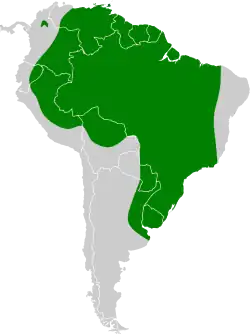 Areál rozšíření