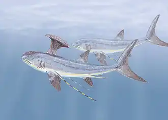 alternativní popis obrázku chybí