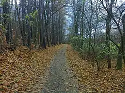 Charakteristický úsek stezky