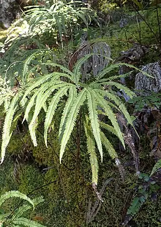 alternativní popis obrázku chybí