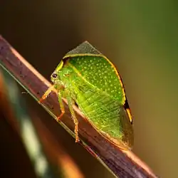 alternativní popis obrázku chybí