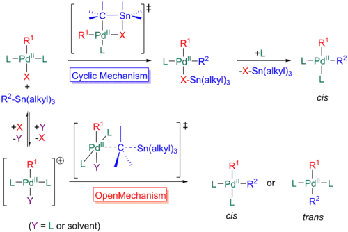 Cyklický a otevřený mechanismus transmetalační části Stilleovy reakce