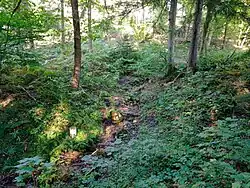 Stinný potok na státní hranici