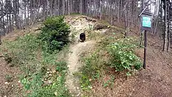 Vchod do štoly u Stradonic