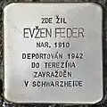 Evžen Feder, syn
