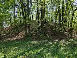 Stonava - tvrziště Švédský kopec (19).jpg