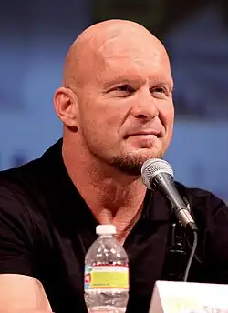 Steve Austin v roce 2010
