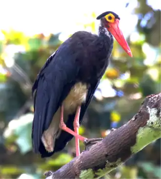 alternativní popis obrázku chybí