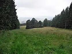 Přírodní památka Stráň