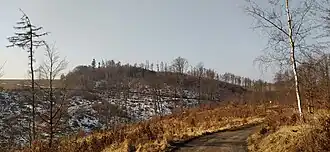 Strážná, Vítkovská vrchovina, severní svahy, vojenský újezd Libavá