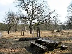 Zaniklá ves Strážov v Ralsku