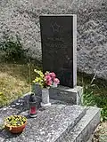 Strážov - pomník na hrobu rudoarmějce Michala Vojvody (1).jpg