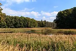 Strážovský rybník u Hradčan