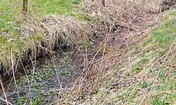 Stříbrný potok před ústím do rybníků na dolním toku