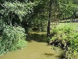 Strašický potok pod rybníkem Strašík