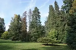 Strančice - zahrada bývalé Schnöblingovy vily (34).jpg