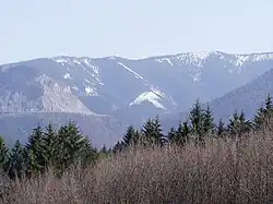 Stráňavská dolina z Trnového