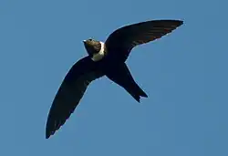 alternativní popis obrázku chybí