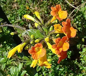 alternativní popis obrázku chybí