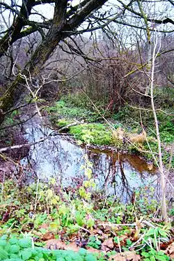 Striūna v Panevėžiuku