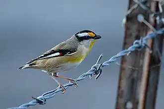 alternativní popis obrázku chybí