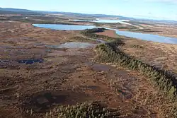 Rašeliniště v národním parku