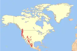 Areál rozšíření