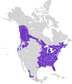 Areál rozšíření