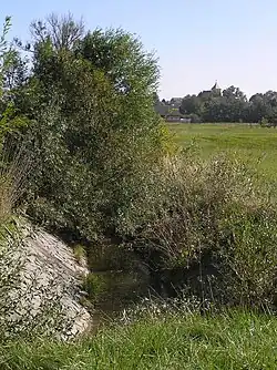 Výtok Stružského potoka z Polního rybníka