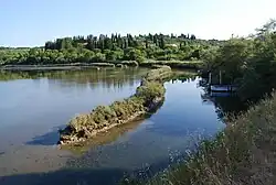 Část chráněné oblasti, v pozadí obec Strunjan