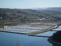 Strunjanské soliny v únoru 2016