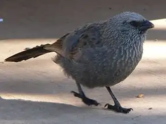 alternativní popis obrázku chybí